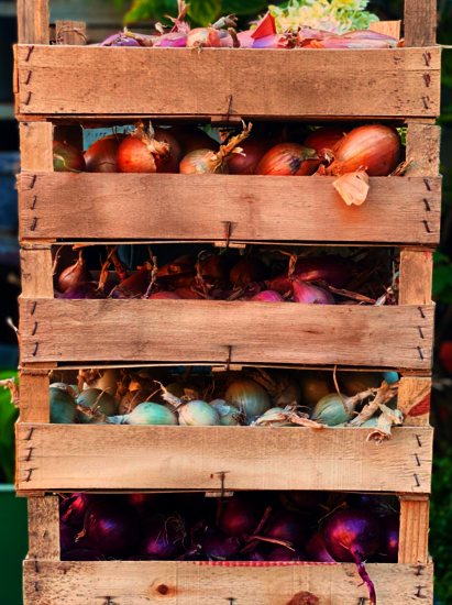 home image-5